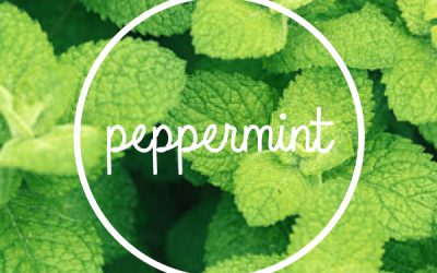 Benefits of Peppermint