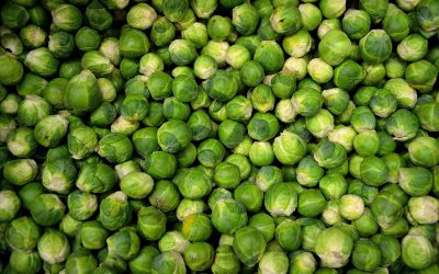 Brussel Sprouts – Love or Hate?